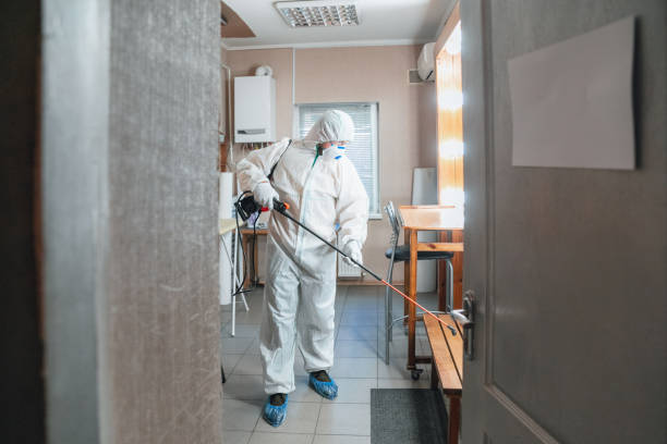 Best Comprehensive Air Testing for Mold Contaminants  in River Road, OR