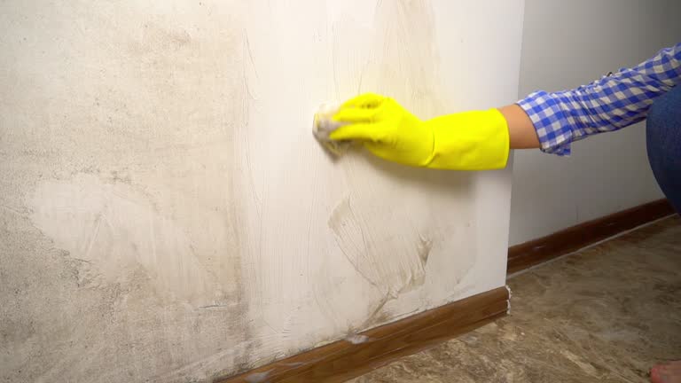 Mold Removal for HVAC Installations in River Road, OR