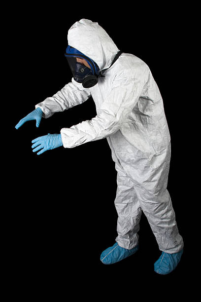 Professional Mold Removal in River Road, OR