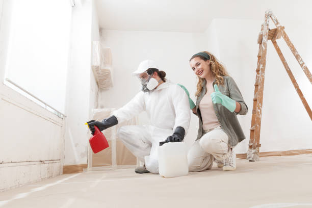 Best Emergency Mold Remediation  in River Road, OR